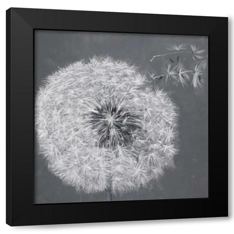 Blowing Dandelion Black Modern Wood Framed Art Print with Double Matting by Atelier B Art Studio