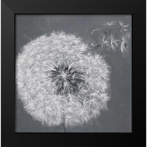 Blowing Dandelion Black Modern Wood Framed Art Print by Atelier B Art Studio