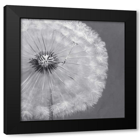 Dandelion Puff Ball Black Modern Wood Framed Art Print by Atelier B Art Studio