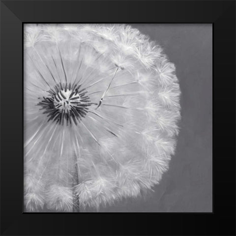 Dandelion Puff Ball Black Modern Wood Framed Art Print by Atelier B Art Studio