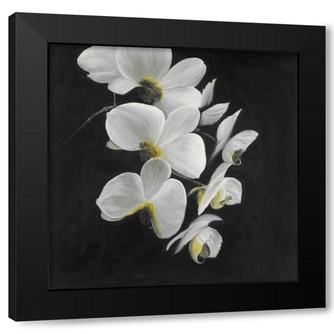 Beautiful Orchids Black Modern Wood Framed Art Print with Double Matting by Atelier B Art Studio
