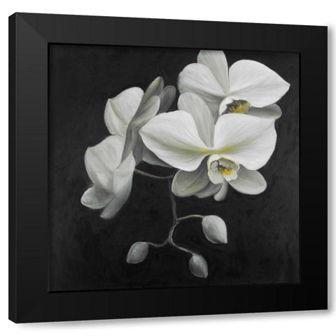 White Orchids Black Modern Wood Framed Art Print with Double Matting by Atelier B Art Studio