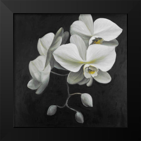 White Orchids Black Modern Wood Framed Art Print by Atelier B Art Studio