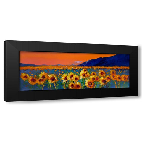 Sunflower Fields Black Modern Wood Framed Art Print by Atelier B Art Studio