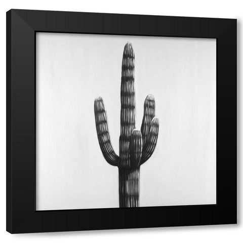 Large Cactus Black Modern Wood Framed Art Print with Double Matting by Atelier B Art Studio