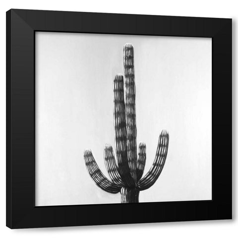 Cactus Black Modern Wood Framed Art Print with Double Matting by Atelier B Art Studio