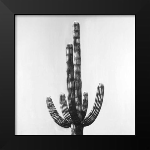 Cactus Black Modern Wood Framed Art Print by Atelier B Art Studio