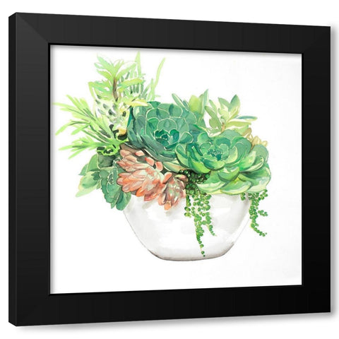 SUCCULENT ASSORTMENT IN A POT Black Modern Wood Framed Art Print with Double Matting by Atelier B Art Studio