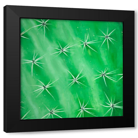 CACTUS CLOSEUP Black Modern Wood Framed Art Print with Double Matting by Atelier B Art Studio