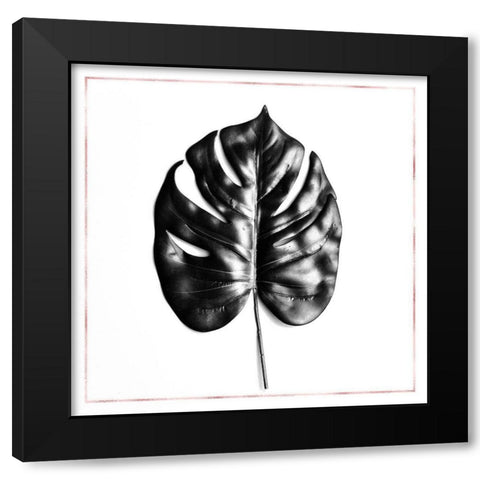 SPLIT LEAF PHILODENDRON WITH ROSE LINE Black Modern Wood Framed Art Print by Atelier B Art Studio