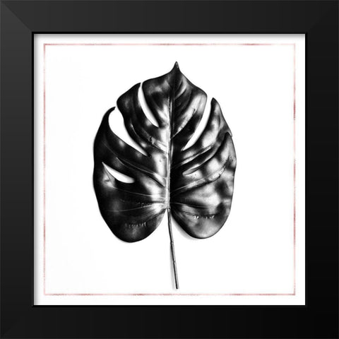 SPLIT LEAF PHILODENDRON WITH ROSE LINE Black Modern Wood Framed Art Print by Atelier B Art Studio