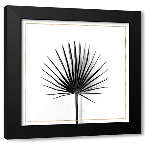 CABBAGE PALM LEAF WITH GOLD LINES Black Modern Wood Framed Art Print by Atelier B Art Studio