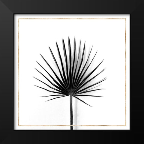 CABBAGE PALM LEAF WITH GOLD LINES Black Modern Wood Framed Art Print by Atelier B Art Studio