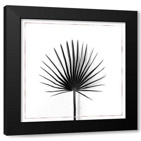 CABBAGE PALM LEAF WITH ROSE LINES Black Modern Wood Framed Art Print with Double Matting by Atelier B Art Studio