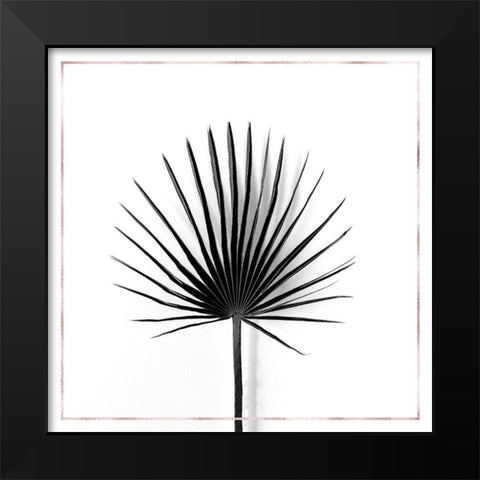 CABBAGE PALM LEAF WITH ROSE LINES Black Modern Wood Framed Art Print by Atelier B Art Studio