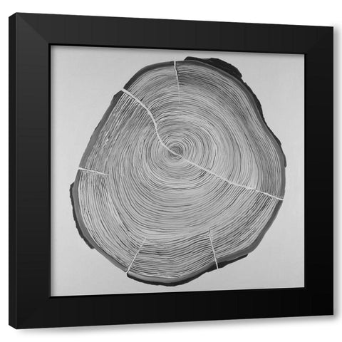 Grayscale Oval Shaped Tree Slab Black Modern Wood Framed Art Print by Atelier B Art Studio