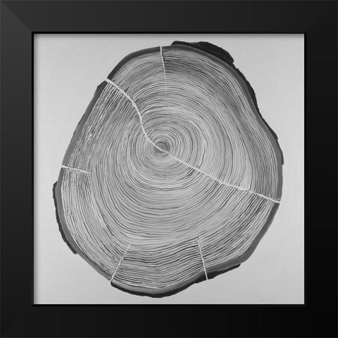 Grayscale Oval Shaped Tree Slab Black Modern Wood Framed Art Print by Atelier B Art Studio