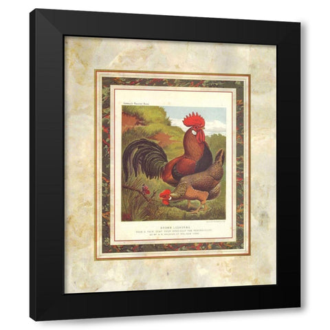 Brown Leg Horn, Cassells Poultry Book Black Modern Wood Framed Art Print by Ludlow, J.W.