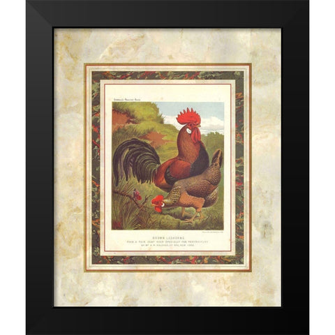 Brown Leg Horn, Cassells Poultry Book Black Modern Wood Framed Art Print by Ludlow, J.W.