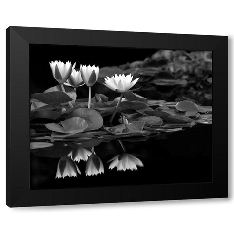 Reflections on Water Black Modern Wood Framed Art Print by Frates, Dennis