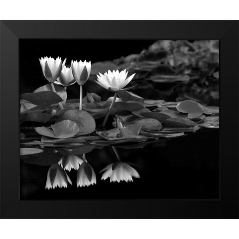 Reflections on Water Black Modern Wood Framed Art Print by Frates, Dennis