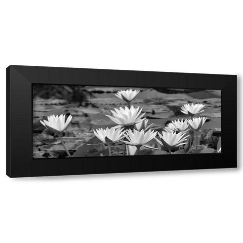 White Innocence Water Black Modern Wood Framed Art Print with Double Matting by Frates, Dennis