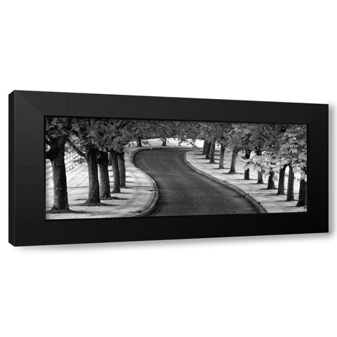 Maple Tree Lined Drive Black Modern Wood Framed Art Print with Double Matting by Frates, Dennis