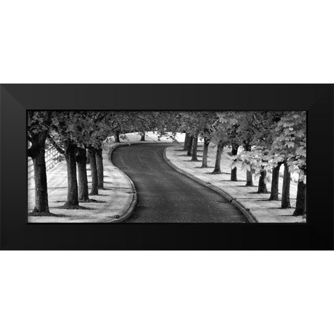 Maple Tree Lined Drive Black Modern Wood Framed Art Print by Frates, Dennis