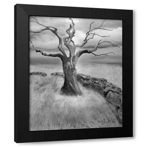 The Meadow Black Modern Wood Framed Art Print by Fisch, Ellen