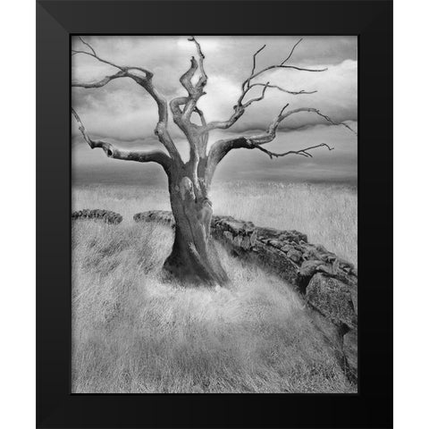 The Meadow Black Modern Wood Framed Art Print by Fisch, Ellen