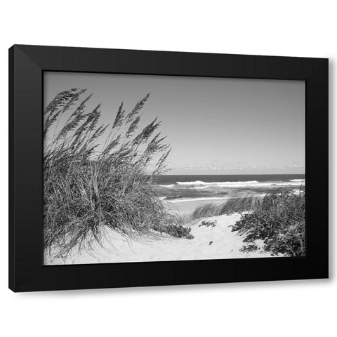Dune Path Black Modern Wood Framed Art Print with Double Matting by Turek, Eve