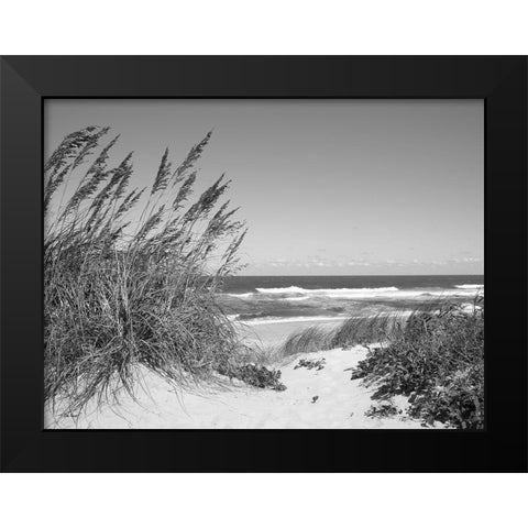 Dune Path Black Modern Wood Framed Art Print by Turek, Eve