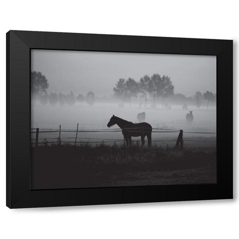 Grazing in the Mist Black Modern Wood Framed Art Print with Double Matting by Anonymous