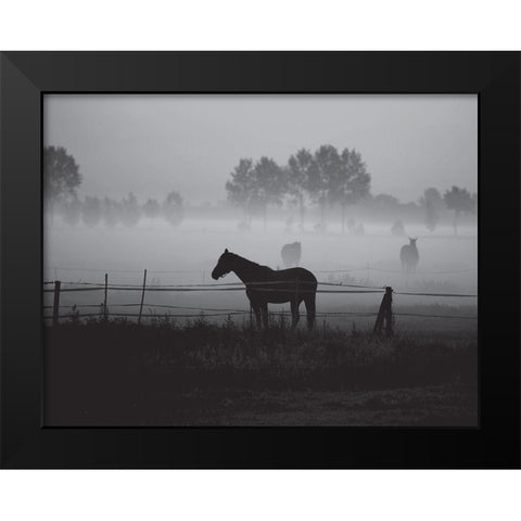 Grazing in the Mist Black Modern Wood Framed Art Print by Anonymous