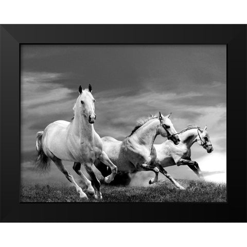 White Stallions Black Modern Wood Framed Art Print by Anonymous