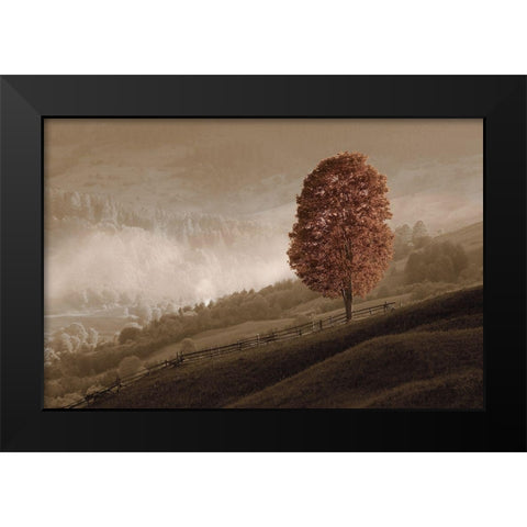 Lovely Mountain Tree Black Modern Wood Framed Art Print by Kotenko, O.