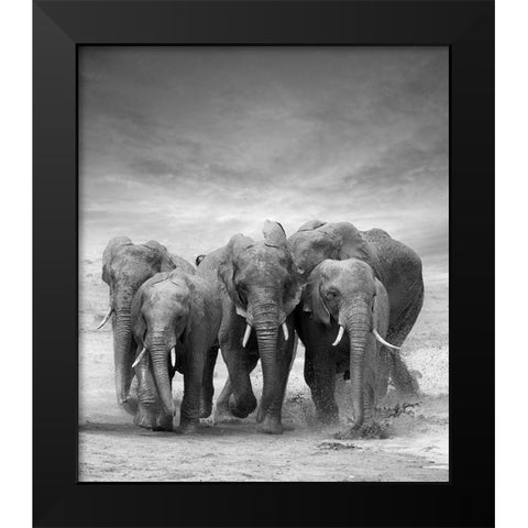 Elephant Herd Black Modern Wood Framed Art Print by Byrdyak, V.