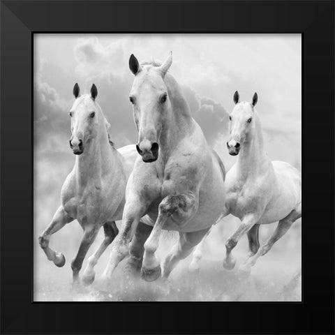 Three White Stallions Black Modern Wood Framed Art Print by Itina, Maria