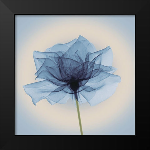 Layered Veil, Blue Black Modern Wood Framed Art Print by Anonymous