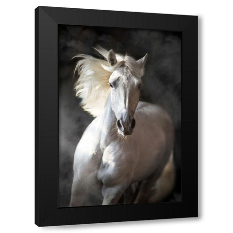 White Andalusian Black Modern Wood Framed Art Print with Double Matting by Golubenko, S.