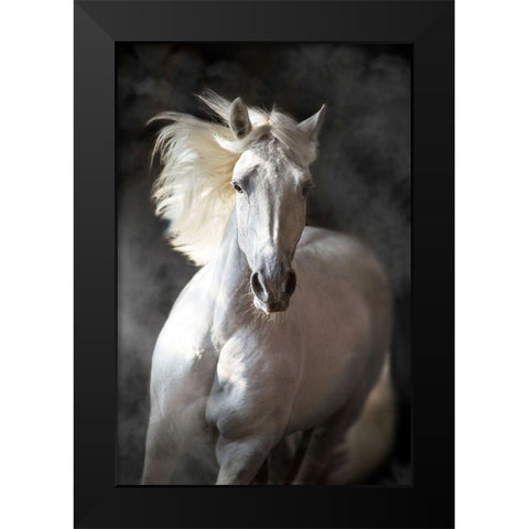 White Andalusian Black Modern Wood Framed Art Print by Golubenko, S.