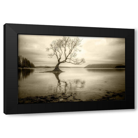 Lone Tree in a Lake Black Modern Wood Framed Art Print by Rushton, Ian