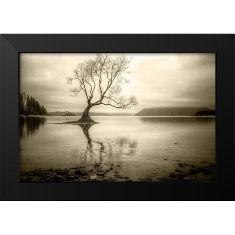 Lone Tree in a Lake Black Modern Wood Framed Art Print by Rushton, Ian