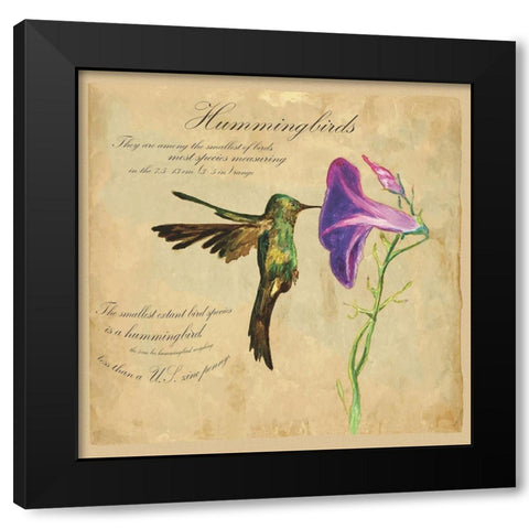 Hummingbird Illustration Black Modern Wood Framed Art Print by Kuco