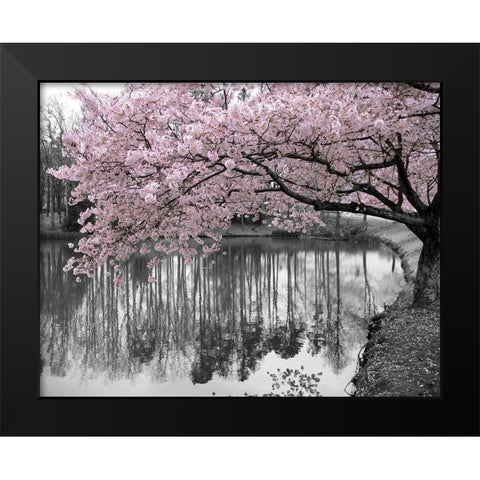 Violet Reflections II Black Modern Wood Framed Art Print by Anonymous