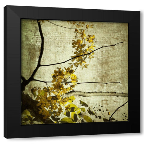 Yellow Kerala Blossoms Black Modern Wood Framed Art Print by Anonymous
