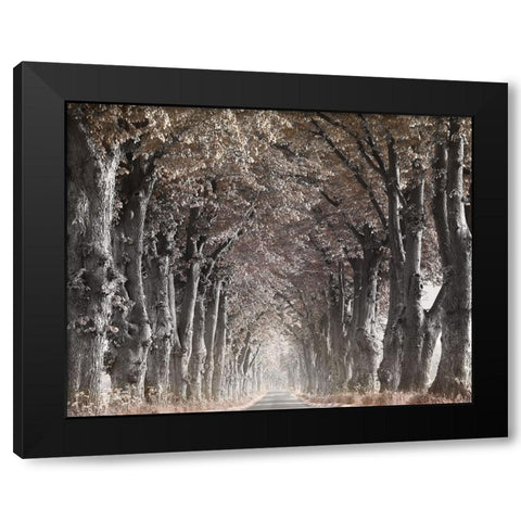 Down The Country Road Black Modern Wood Framed Art Print by Anonymous