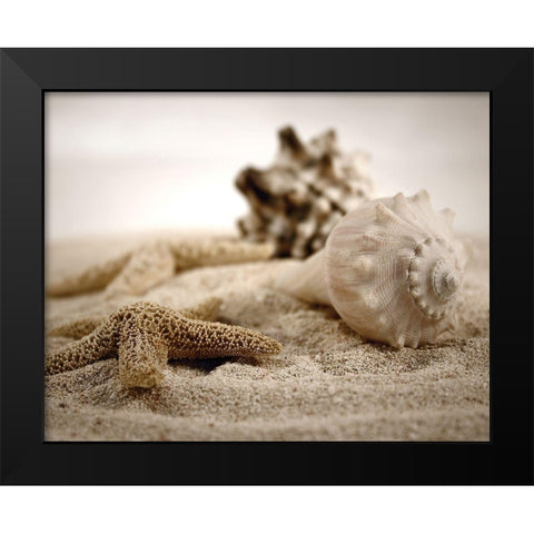 Seashells in the Sand Black Modern Wood Framed Art Print by Cunningham, S.