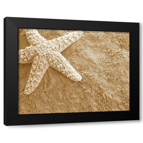 Starfish in the Sand Black Modern Wood Framed Art Print by Anonymous