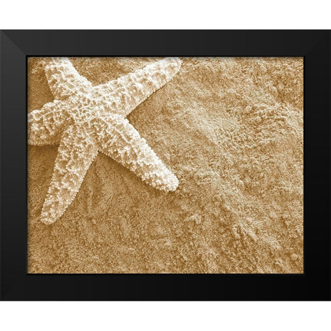 Starfish in the Sand Black Modern Wood Framed Art Print by Anonymous